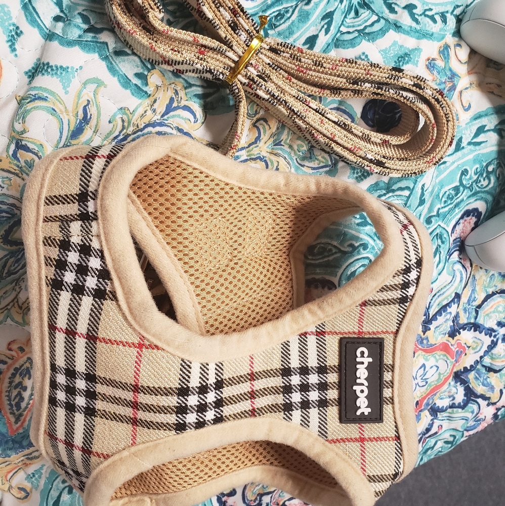 Pet harness and leash